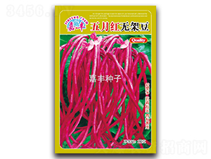 ���¼t�o�ܶ�-�ܶ��N��-���S�N��