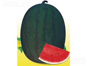 ī��һ̖-���ϷN��-����