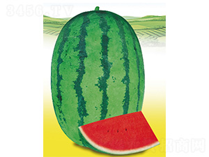 �޶�һ̖-���ϷN��-����