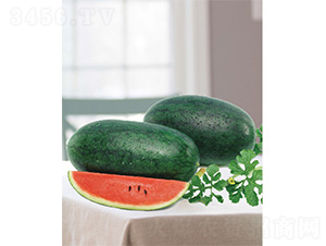 ���S������-���ϷN��-����