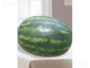 ���޶�̖-���ϷN��-����