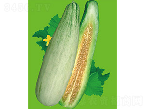 �����-��ϷN��-����