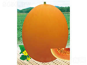 ����һ̖-��ϷN��-����