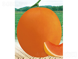 �����̖-��ϷN��-����