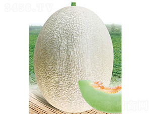 ������һ̖-��ϷN��-����