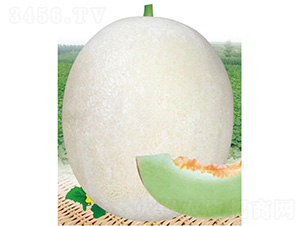 �����۶�̖-��ϷN��-����