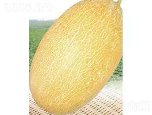 ������20̖-��ϷN��-����