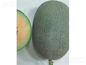 ������18̖-��ϷN��-����