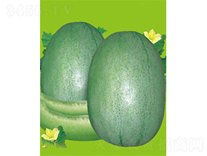 �G����̖-��ϷN��-����