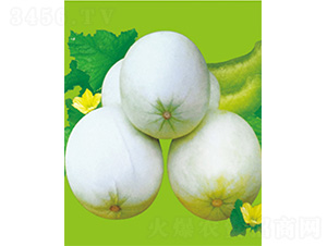 ���S��̖-��ϷN��-����