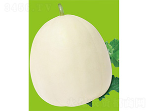 ���S��̖-��ϷN��-����