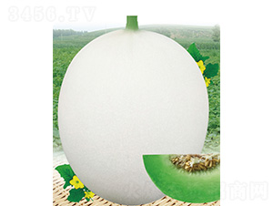 �״���̖-��ϷN��-����