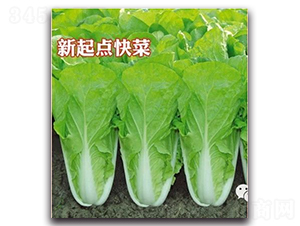 �����c(di��n)���-�ײ˷N��-��s�r(n��ng)�I(y��)