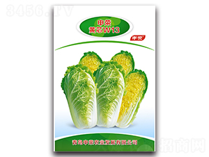 ��s�S��W13-�ײ˷N��-��s�r(n��ng)�I(y��)