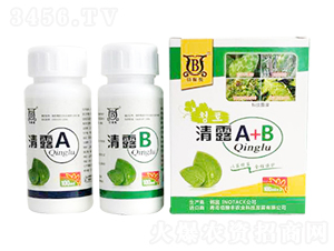 ��¶A+B-�ۼ��S