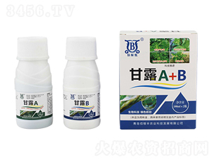 ��¶A+B-�ۼ��S