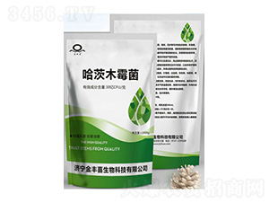 ����ľù��-���Sϲ����