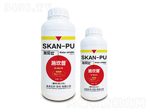 ʩ����-�F�i�τ�-δ�����W(xu��)