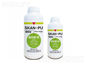 ʩ����-�}�������}��-δ�����W(xu��)