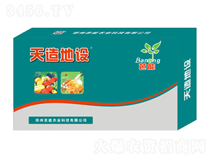 ������O(sh��)-����