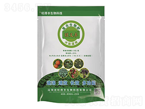 �ͺ������-�����S-�����S����