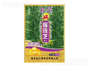 �u�X֥F1-֥��N��-��Ų�