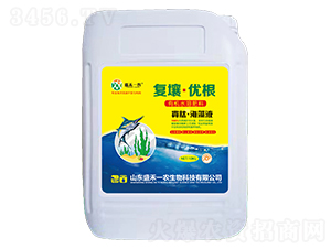 ���ġ�����Һ-��(f��)������(y��u)��-ʢ��һ�r(n��ng)