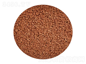 ���@���ʣ�С�w����-����������