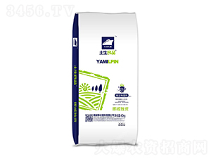 �߻��������{(di��o)�턩-������Ʒ-��������