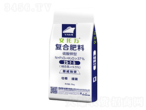 ������͏ͺϷ���25-7-5-�����f-��������