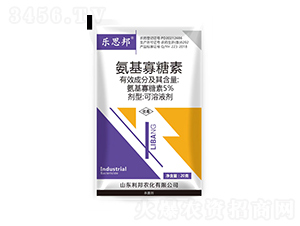 5%����������-��(l��)˼��-�����r(n��ng)��