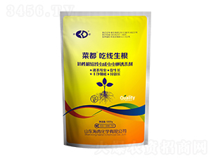 ���Ը��Y���x���x�x���T����-�˶��Ծ�����-���l(xi��ng)Ʒ��