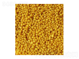 ���������@-����ʩ