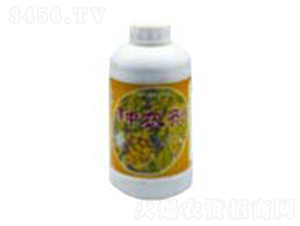 �N��-ʿ�ֿƼ�