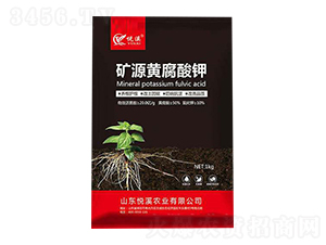 �VԴ�S�����-��Ϫ