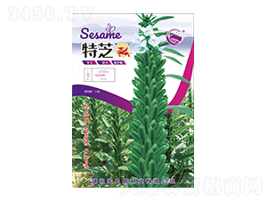 ��֥-��Ų�