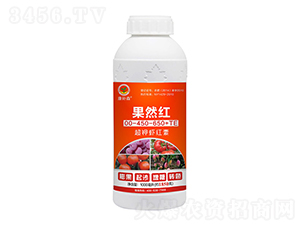 ����r�t��00-450-650+TE-���a(b��)ɭ