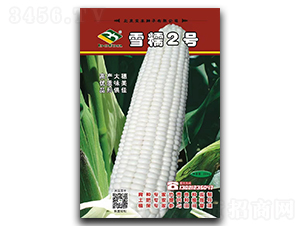 ѩŴ2̖-Ŵ���׷N��-���S