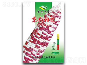 ������Ŵ-Ŵ���׷N��-���S