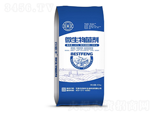 ΢�������-ʷ���S