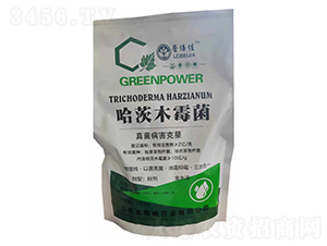 ����ľù��-�𸣵�