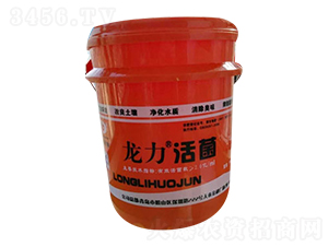 �������-��������