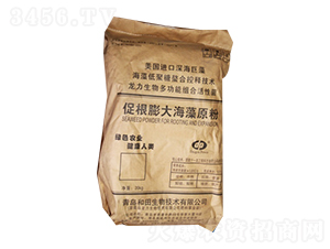 ����������-��������