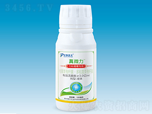 �׷�˪ù����΢�������-��΢��-�����r(n��ng)�I(y��)