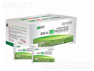 �����|̦���Ƅ�-�������