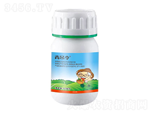 5%ʭ����-�����-������