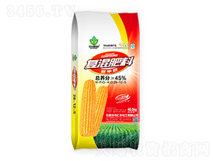 ���ȩ��(f��)�����28-12-5-����ؐ-�R�S����