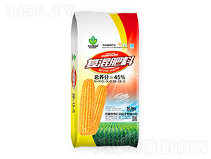 45%���ȩ����⛏�(f��)�����28-12-5-����ؐ-�R�S����