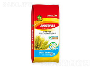 С����(f��)�����20-20-5-����ؐ-�R�S����