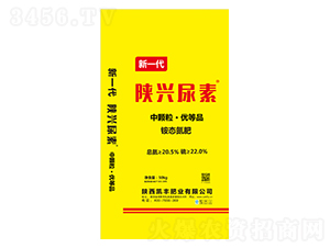 ���w���@�B(t��i)����-��d����-�P�S�ʘI(y��)